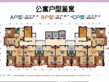 碧桂园星作_1室1厅1卫 建面50平米