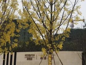 双福新鸥鹏拉菲公馆