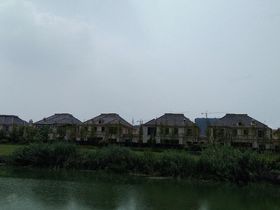 金瑞中心