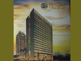 翔龙国际