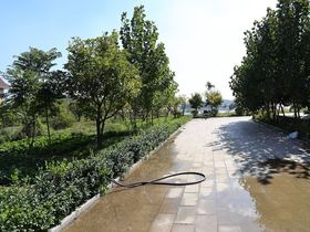 御龙湾