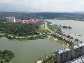 九龙新城