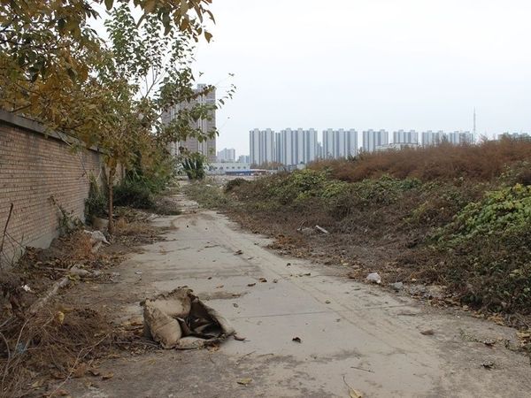 向阳驿