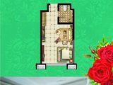 中茵翰林阁_1室1厅1卫 建面45平米
