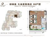太白山棕榈泉_孔雀06户型 建面61平米