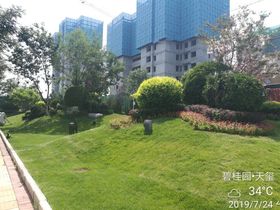 辛集碧桂园天玺