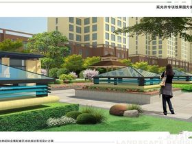 采兰美立方