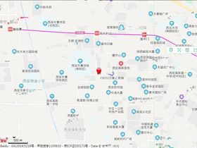 高新芳华