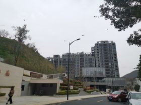 大发融悦新界公馆
