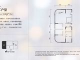 融创三亚新闻中心_4室0厅0卫 建面206平米