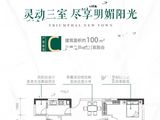华立凯旋新城_3室2厅1卫 建面100平米