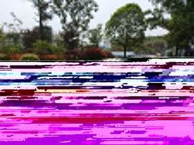 永达九华府