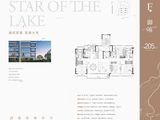 中建｜吴江城投笠泽之星_4室2厅3卫 建面205平米