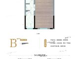 东亚京尊_商务公寓B户型 建面54平米